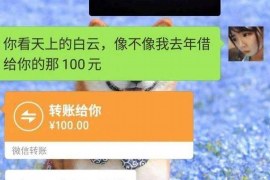 宁津遇到恶意拖欠？专业追讨公司帮您解决烦恼